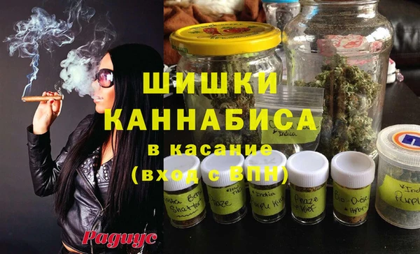apvp Гусиноозёрск