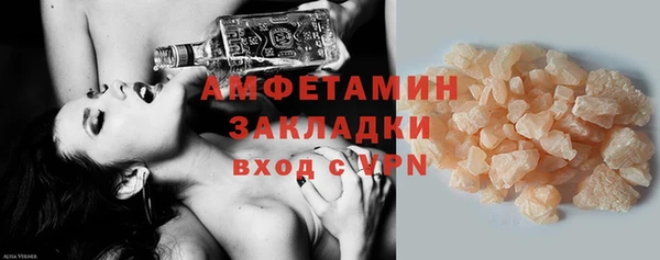 гашик Горняк