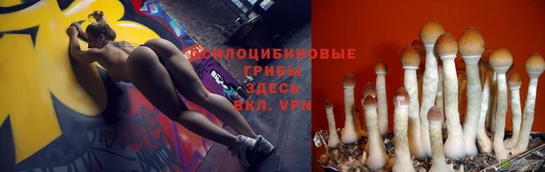 герыч Гусев