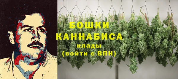 бутират Гусь-Хрустальный