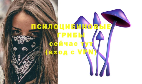 бутират Гусь-Хрустальный