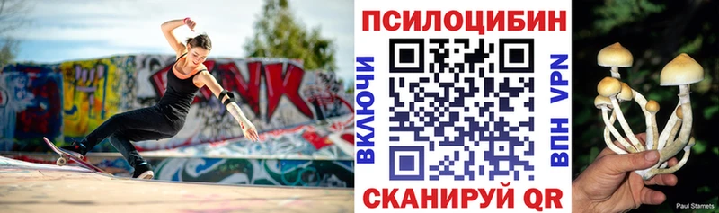 Галлюциногенные грибы Cubensis  Олёкминск 
